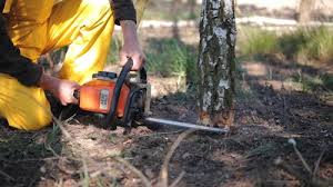 Best Soil Testing and Treatment  in Frankl, IN